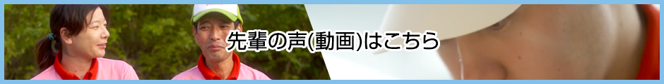 先輩の声（動画）はこちら